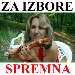 Za izbore spremna