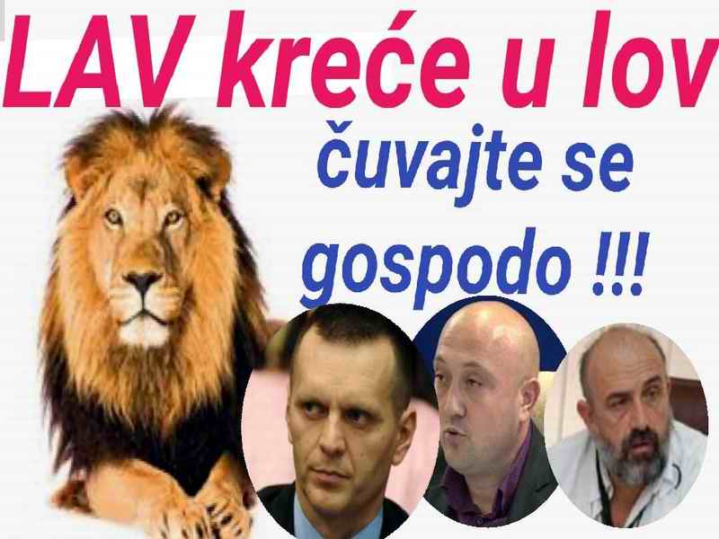 Lav kreće u lov