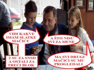 Mačići su progledali