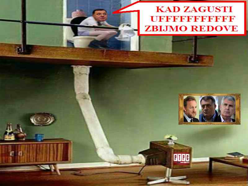 Kad zagusti