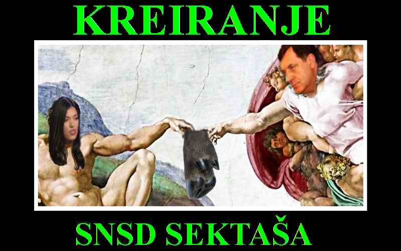 Zakasnele lude krave