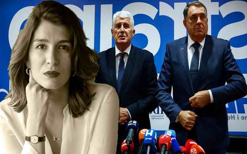 ZMIJA OTROVNICA DOTJERANA DO ZIDA